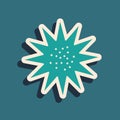 Green Sea urchin icon isolated on green background. Long shadow style. Vector. Royalty Free Stock Photo