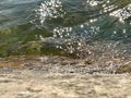 Green sea wter wave and splash reflection on sun beams seascape