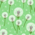 Green seamless background with dandelion blowing Royalty Free Stock Photo