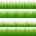 Green seamless grass vector set