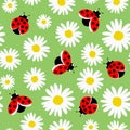 Green seamless pattern background of daisy flowers with ladybirds Royalty Free Stock Photo