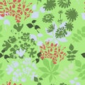 Green seamless pattern with wildflowers and herbs. Royalty Free Stock Photo