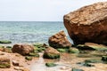 Green seaweed covered rocks over Black Sea and blue skies Royalty Free Stock Photo