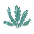 green seaweed illustration