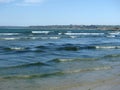 Green Seaweeds Tide Overgrowth on Brittany Coast Royalty Free Stock Photo