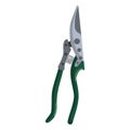 Green secateur on white background isolated. Professional garden tool for trimming and tree care
