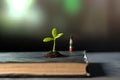 Green seedling growing from an old book on dark background. Ecology concept