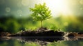 Green seedling growing in a thriving ecosystem Royalty Free Stock Photo