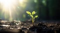 Green seedling illustrating concept of new life and beginning to grow from seed. Generative AI Royalty Free Stock Photo