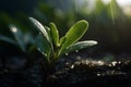 Green seedling illustrating concept of new life and eco-friendly development generative ai