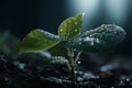 Green seedling illustrating concept of new life and eco-friendly development generative ai