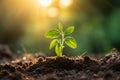 Green seedling reaching towards sun, embracing new beginnings in rich and dark soil growth concept