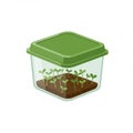 Green Seedlings Growing in Clear Square Container Royalty Free Stock Photo