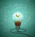 Green seedlings in a light bulb ecology