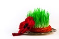 Green semeni on vintage plate, decorated with twist red ribbon and red tassel