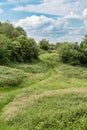 The green semi-natural meadows of the Kauwberg nature reserve , Uccle, Belgium