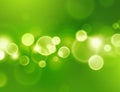 Green sensation Royalty Free Stock Photo