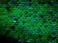 Green sequin fabric background mermaid scale