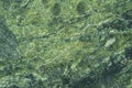 Green serpentine or serpentinite stone surface abstract background Royalty Free Stock Photo