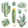 Green set with watercolor cactus,succulents and multicolored flowers