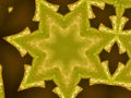 a green seven-pointed star similar to a snowflake on a brown background Royalty Free Stock Photo