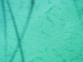 Green Shadow background Abstract Overlay Leaf Wall Floor Minimal Sale