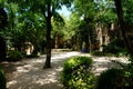 Green shady park in southern Europe Royalty Free Stock Photo