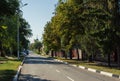 Green shady street of country town leads to cathedral