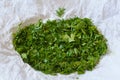 Green shallot coriander Royalty Free Stock Photo