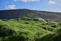 Green shallow focus long grass blue clouded sky