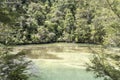 Green shallow waters at Bark bay estuary with rain forest thick lush vegetation on shore, near Kaiteriteri, Abel Tasman park, New Royalty Free Stock Photo