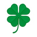 Green shamrock clover icon. Irish symbol of luck. Royalty Free Stock Photo
