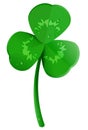 Green shamrock clover leaf with dew drops. Lucky trefoil symbol of St. Patrick`s Day Royalty Free Stock Photo