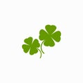 Green Shamrock illustration isolated on white. Clover three leaf flower Royalty Free Stock Photo