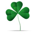 Green shamrock, three leaf clover, vector