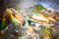 Cooking green shell mussels