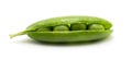 Green shelled unopen pea pod isolated Royalty Free Stock Photo