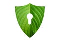 Green shield protects nature and protects the environment on white background Royalty Free Stock Photo