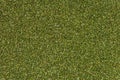 Green shiny background. Glitter texture on macro. Royalty Free Stock Photo