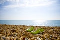 Green Shoes