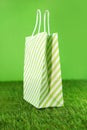 Green shopping bag on the green lawn Royalty Free Stock Photo