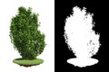 Green Shrub with Detail Raster Mask. Royalty Free Stock Photo