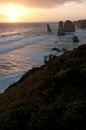 Green shrub and the sunset at Twelve Apostles on the Great Ocean Road in Australia