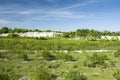 Green shrubs and trees, slope of chalk and blue sky