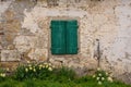 Green Shutter and Daffodils Royalty Free Stock Photo