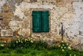 Green Shutter and Daffodils Royalty Free Stock Photo