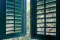 Green old shutter covers the window on a sunny day Royalty Free Stock Photo