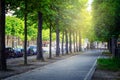 Green sidewalk of avenue de l`Observatoire