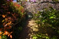 Green sidewalk with grass trees flowers