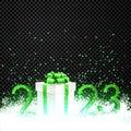 Green 2023 sign with white gift box on transparent background with snowflakes Royalty Free Stock Photo
